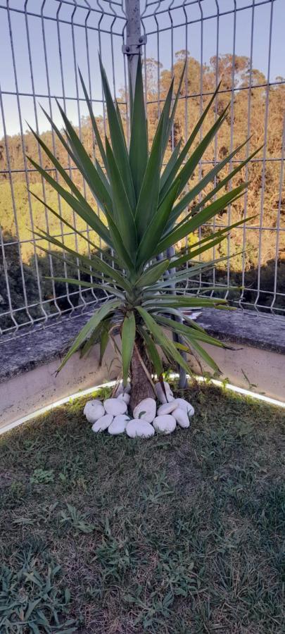 Casa Monte Beira Rio Touguinho Zewnętrze zdjęcie